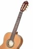 Ortega R20GSNRG Traditional Series gitara klasyczna 4/4 wąski gryf